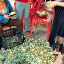 신호농장 이미지