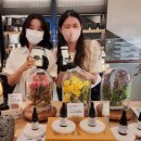 캔들하우스 이미지