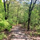 월례근린공원 이미지