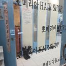 뽀떼리아