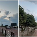 대정환승정류장 이미지