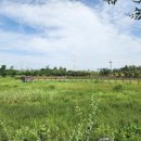 미사한강1호공원 이미지