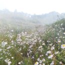 산돌복농장