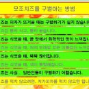 피자갤러리 이미지