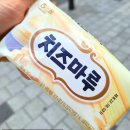 녹차마루 이미지