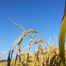 달뱅이농장 이미지