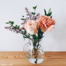 비둘기미용실 이미지