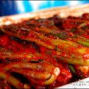 맛있는반찬 Daum카페