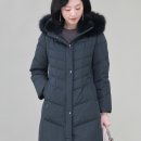렉스 이미지