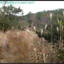 상조도보건진료소 이미지