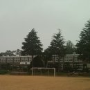주산초교 이미지