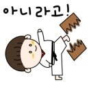 가온 한양대 태권도 이미지