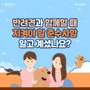 함께할때 네이버블로그