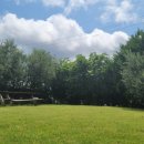 효정민박 이미지