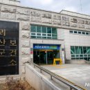 괴산약국 이미지