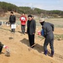계룡 농장 이미지