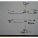 봄비 내리는 날에 번개를~~~ ㅎㅎㅎ 이미지