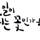 꽃과 만나는 캘리그라피 이미지