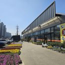 소중농원 | 봄을 담은 아산 꽃집 로뎀농원 소중한 사람을 위한 천안 꽃다발 추천