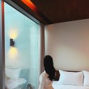 지중서원 이미지