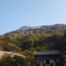 제주이글여행사