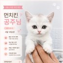퍼피루미 네이버블로그