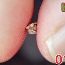 남원본가추어탕(시청점) 이미지