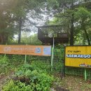 새막골 캠프 이미지