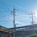 안동식농장 | 안동 파파야 농장 후기