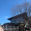 스톤커피 - 안산시 상록구 충장로5길 4 | 대구 I 팔공산 드라이브 가기 좋은 대형 카페 스톤 팔공산점 후기(+돌소금 커피)