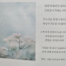 오랜만이에요. 이미지