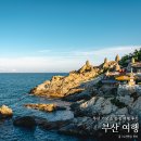 바닷가 풍경 | 부산 기장 여행 해동 용궁사 송정 해수욕장 바닷가 여름 풍경