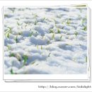 빛나라유치원 이미지