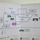 11620-전10-45-2 | 용인애견카페 추천 대형견운동장까지 갖춘 반려견 놀이터 테일45 - 프라이빗 운동장 A 대관 후기