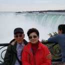 메기의 추억 이미지