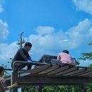 광명1호기 태양광발전소 이미지