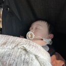 몽중헌 반포 이미지