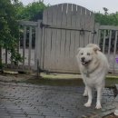 밖거리 민박 이미지