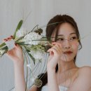 정우컨설팅