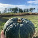 동식농장 이미지