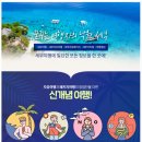 닥터필투어