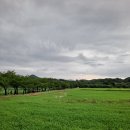 안산화랑오토캠핑장 이미지