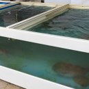 새남식당 이미지