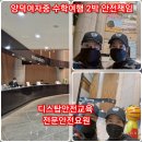 늘빛투어