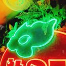 단감테마공원 이미지