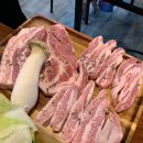 금빛한돈 이미지