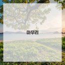 태블릿 디지털 드로잉 이미지