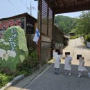 휘바핀란드위드플레이정글 이미지