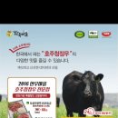 홍천루