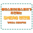 Y·N 스크린골프클럽 | 필리핀가족연수 세부 SMEAG 엔칸토 어학원 실제 방문 후기!